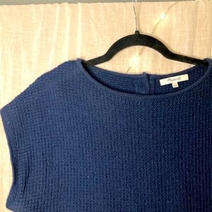Madewell Navy Sleeveless Sweater